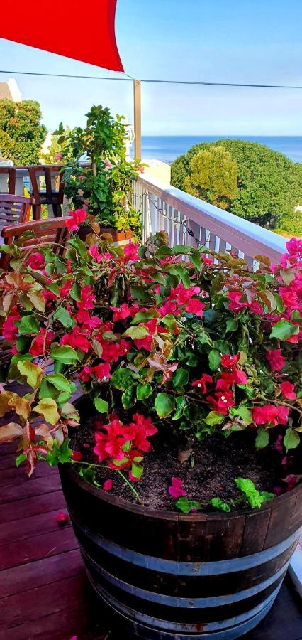 הרמנוס Belle Vue Guesthouse מראה חיצוני תמונה