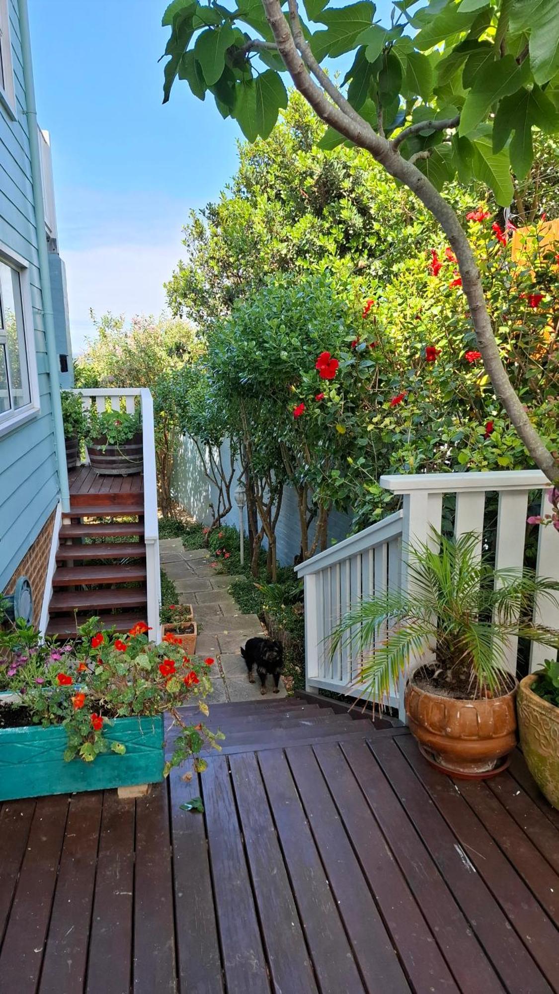 הרמנוס Belle Vue Guesthouse מראה חיצוני תמונה