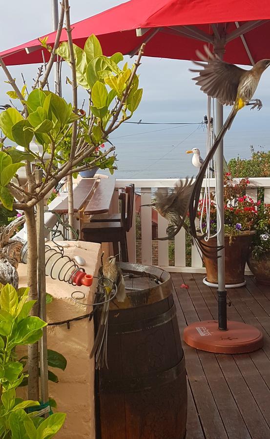 הרמנוס Belle Vue Guesthouse מראה חיצוני תמונה